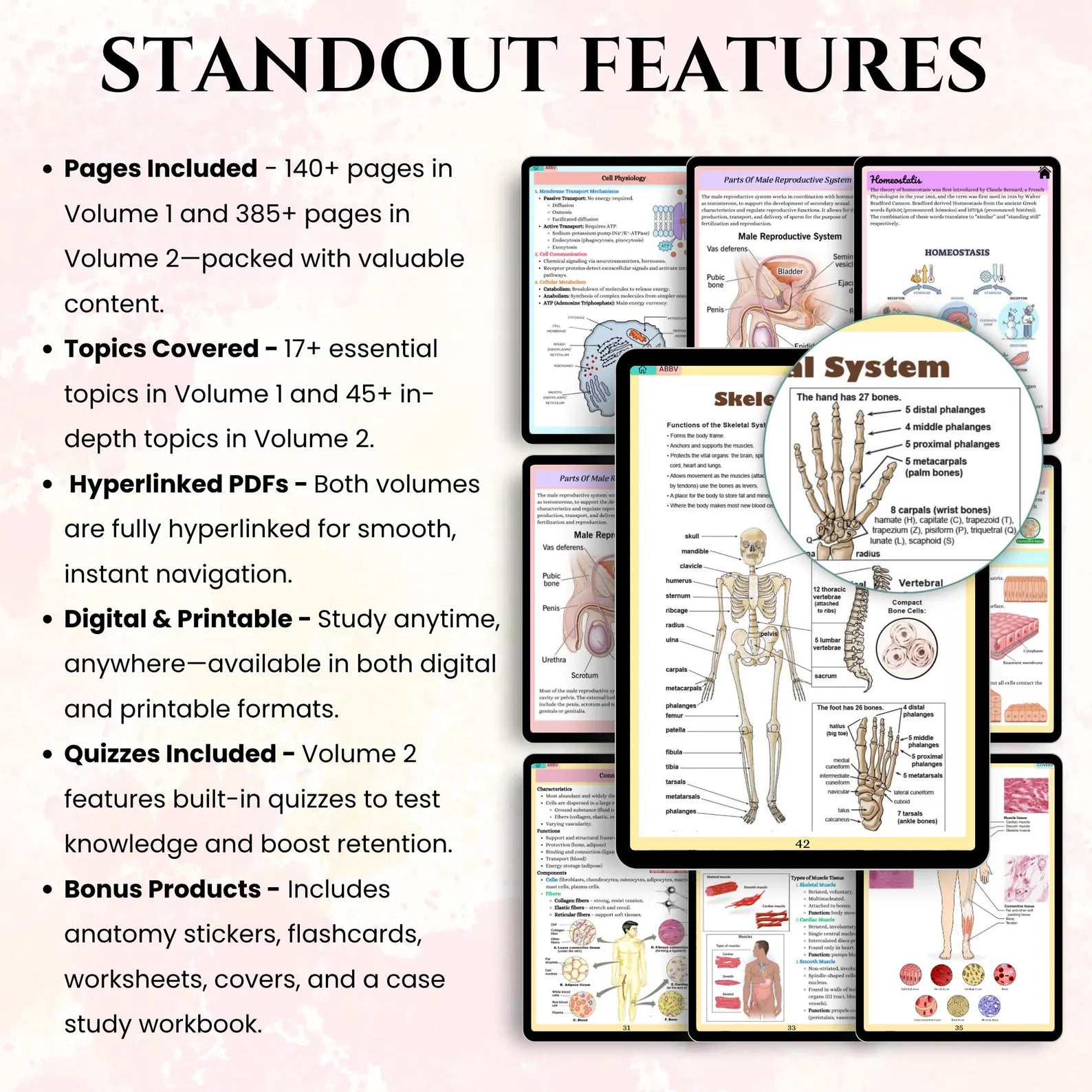 Anatomy & Physiology Mega Bundle with Flashcards Stickers Quizzes and Study Case, Anatomy Study Guide, Nursing School Notes, Medical Notes