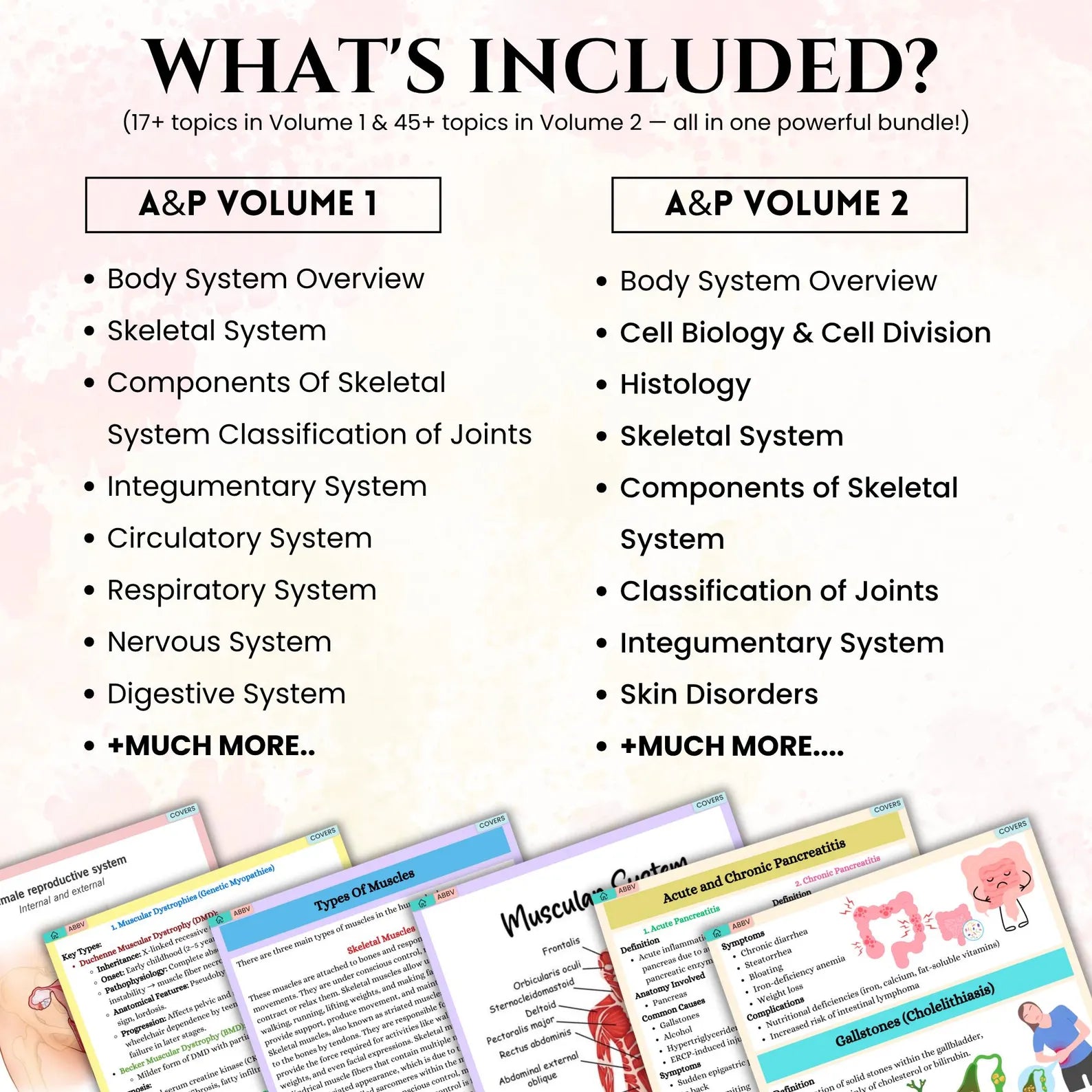 Anatomy & Physiology Mega Bundle with Flashcards Stickers Quizzes and Study Case, Anatomy Study Guide, Nursing School Notes, Medical Notes