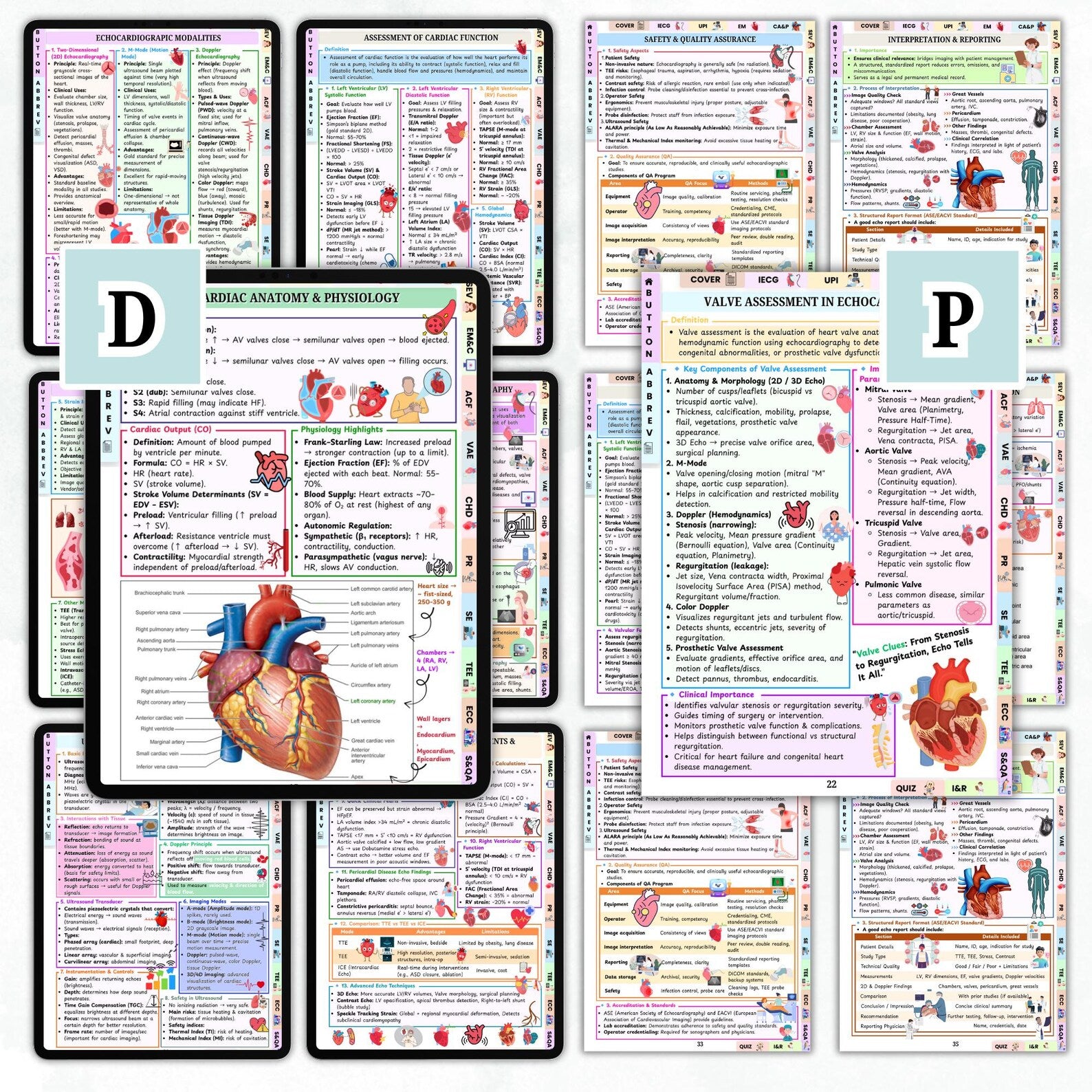 Echocardiography Study Guide, 80 Pages, Echo Student Resources, Heart Ultrasound Study Aid, Ultrasound Physics Echo Notes, Hyperlinked PDF