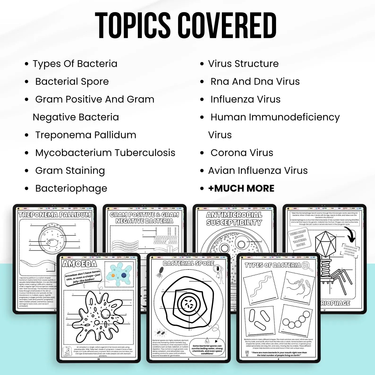 Microbiology Coloring Book, Nursing School Resource, Nursing Student Printable Study Guide, Microbiology Diagrams, Instant Download
