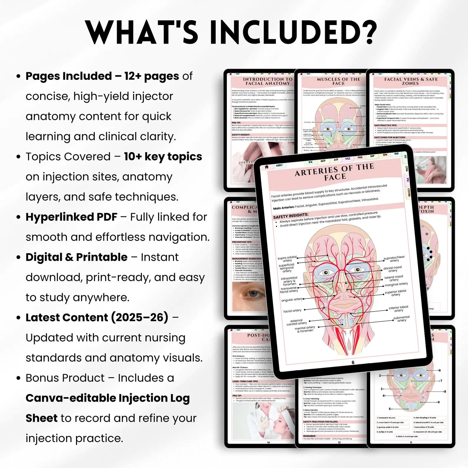 Aesthetic Nurse Injector Anatomy Guide | Facial Anatomy For Injectors | Facial Muscles Anatomy Diagram | Bonus Log Sheet Included