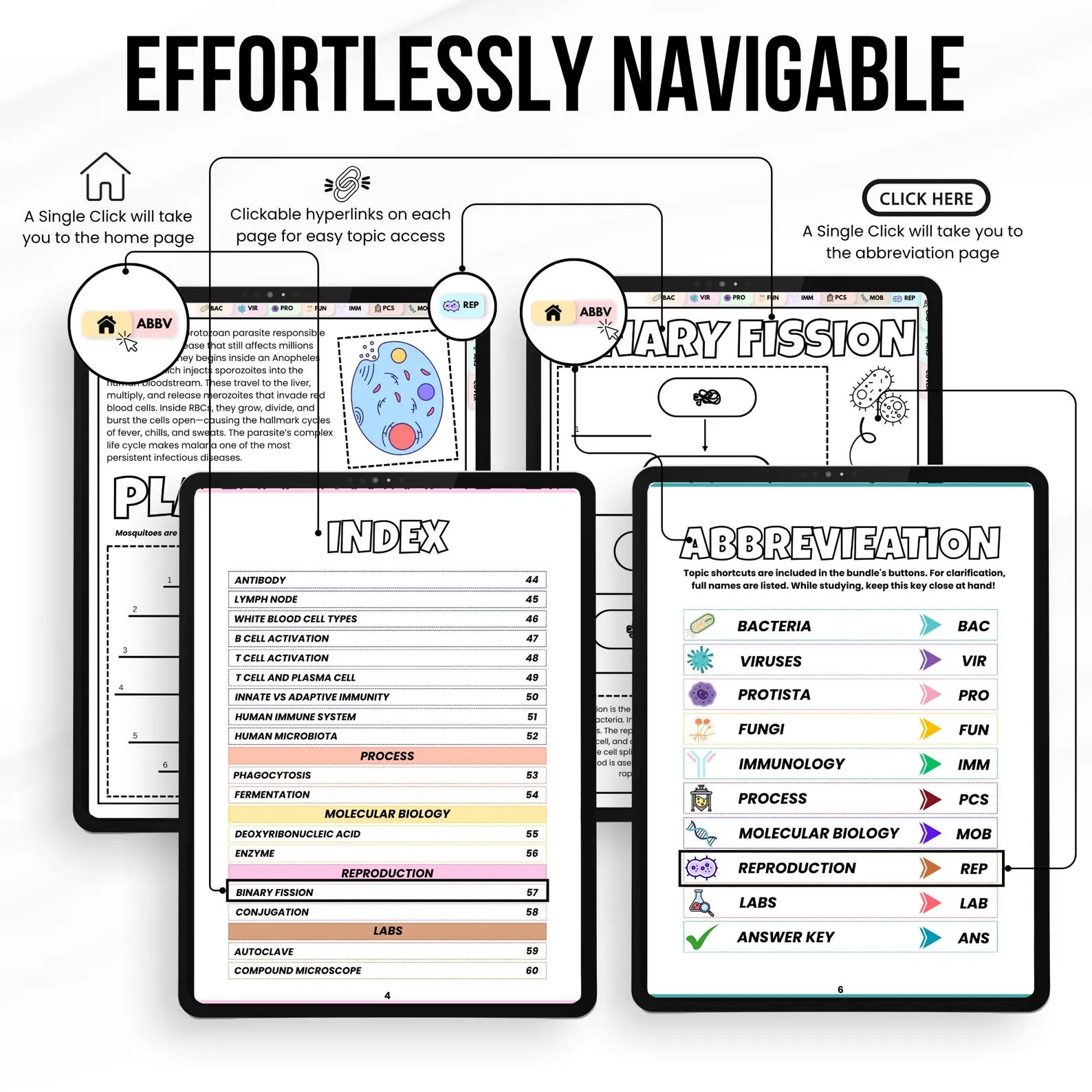 Microbiology Coloring Book, Nursing School Resource, Nursing Student Printable Study Guide, Microbiology Diagrams, Instant Download