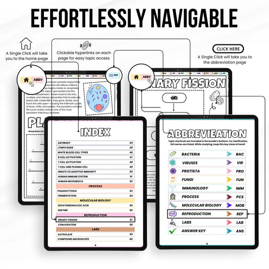 Microbiology Coloring Book, Nursing School Resource, Nursing Student Printable Study Guide, Microbiology Diagrams, Instant Download