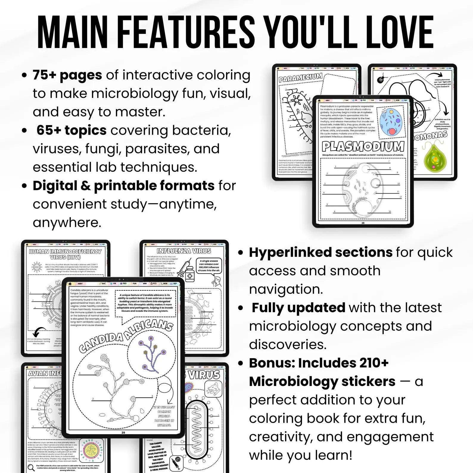 Microbiology Coloring Book, Nursing School Resource, Nursing Student Printable Study Guide, Microbiology Diagrams, Instant Download