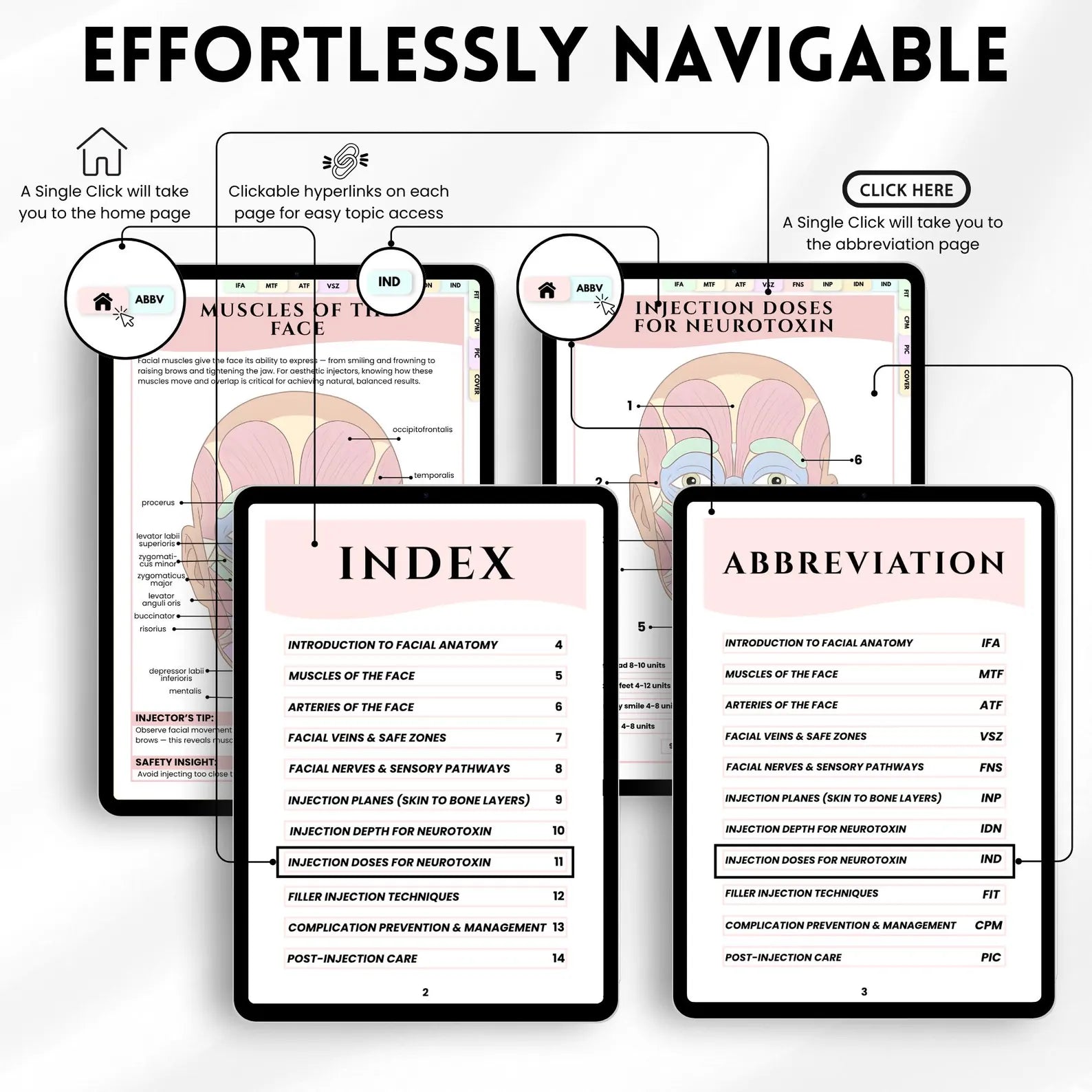 Aesthetic Nurse Injector Anatomy Guide | Facial Anatomy For Injectors | Facial Muscles Anatomy Diagram | Bonus Log Sheet Included