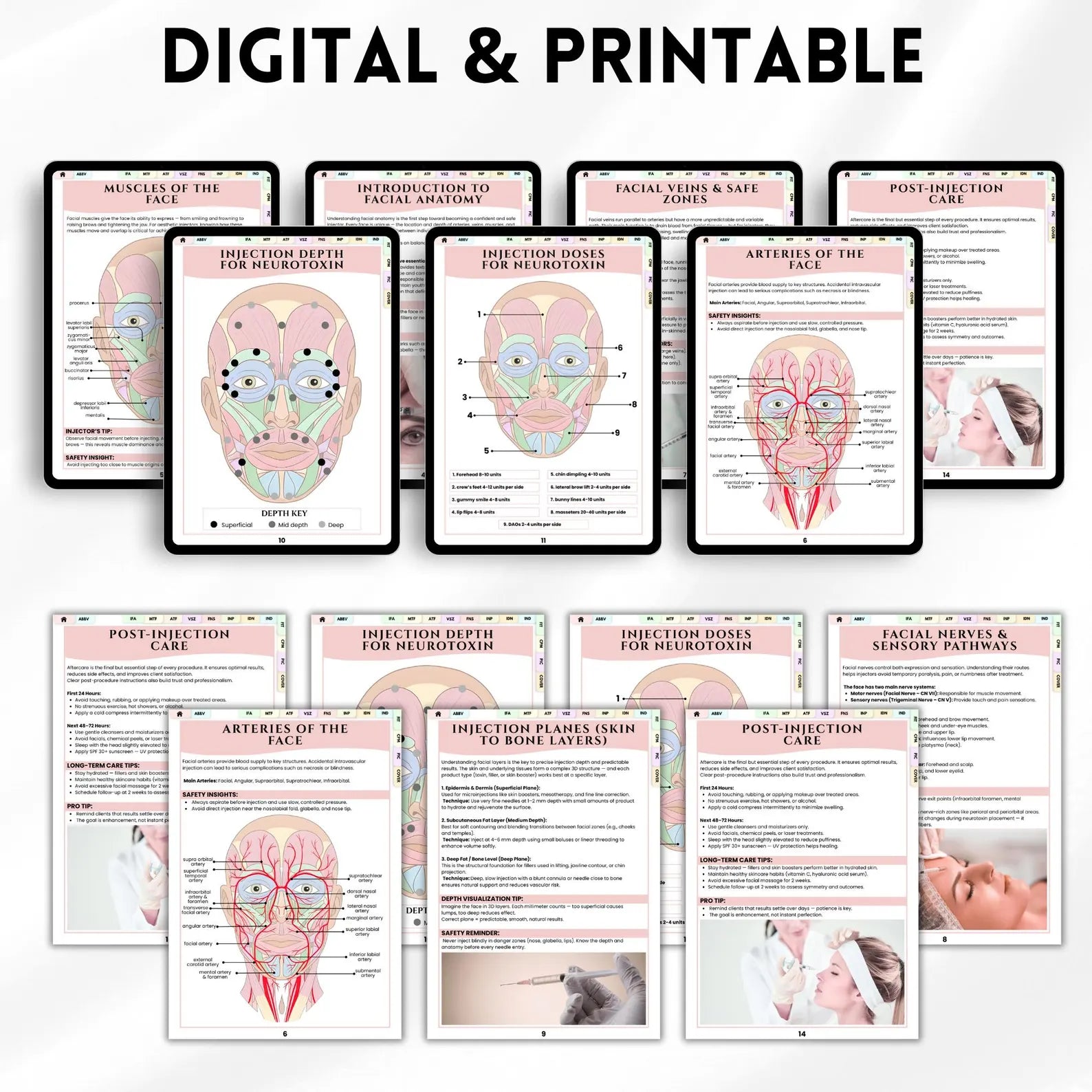 Aesthetic Nurse Injector Anatomy Guide | Facial Anatomy For Injectors | Facial Muscles Anatomy Diagram | Bonus Log Sheet Included