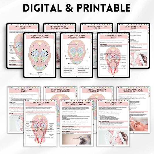 Aesthetic Nurse Injector Anatomy Guide | Facial Anatomy For Injectors | Facial Muscles Anatomy Diagram | Bonus Log Sheet Included