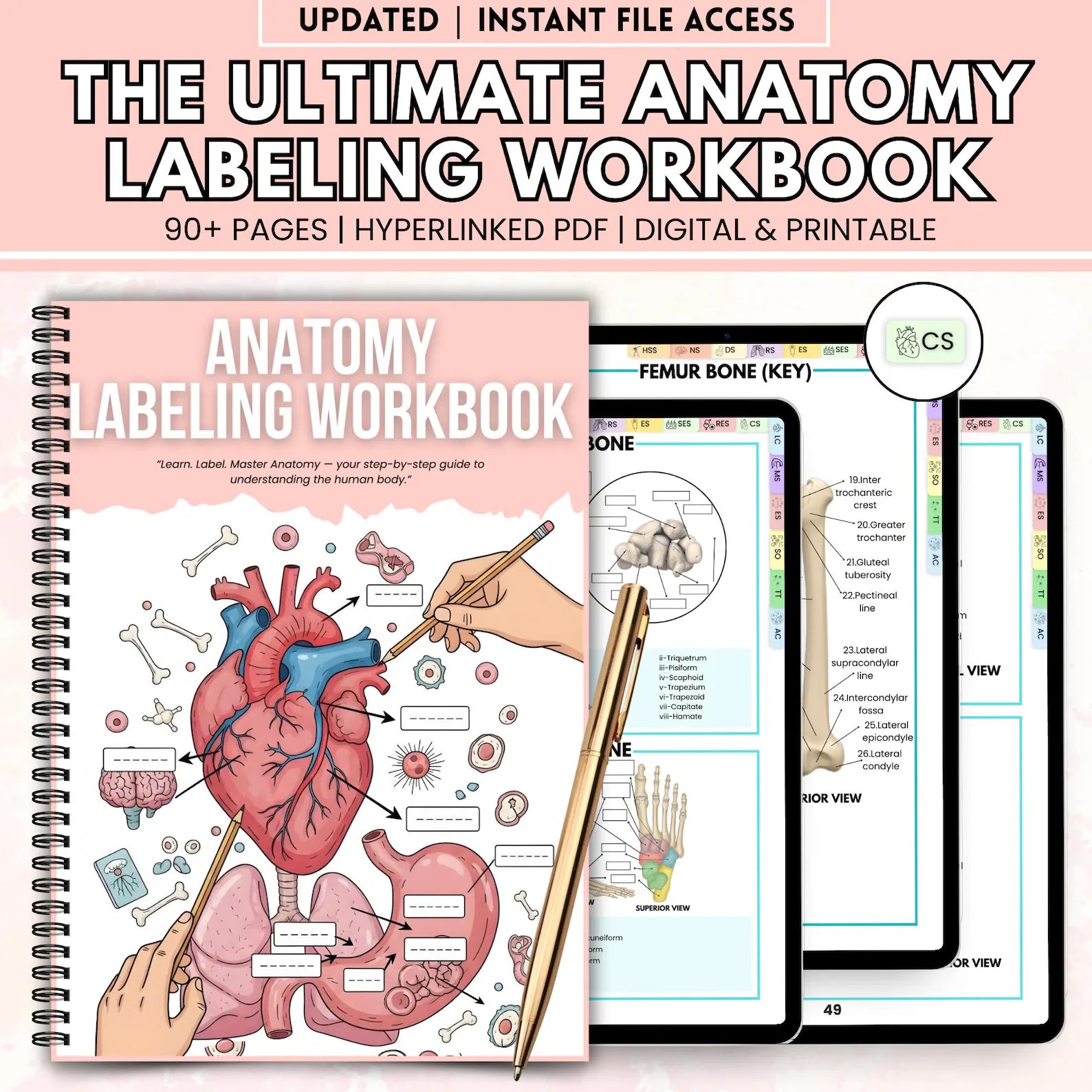 Anatomy Labeling Workbook | Human Body Systems Printable | Nursing School Study Guide PDF | Bonus Anatomy Mnemonics Sheet Included