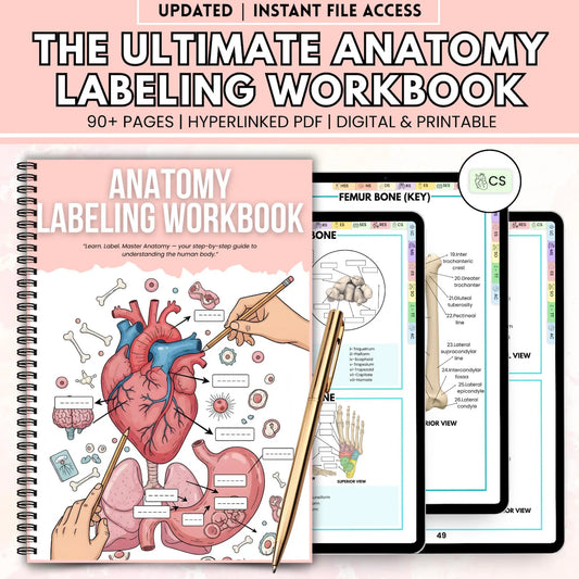 Anatomy Labeling Workbook – Human Body Systems Printable (Printable PDF)