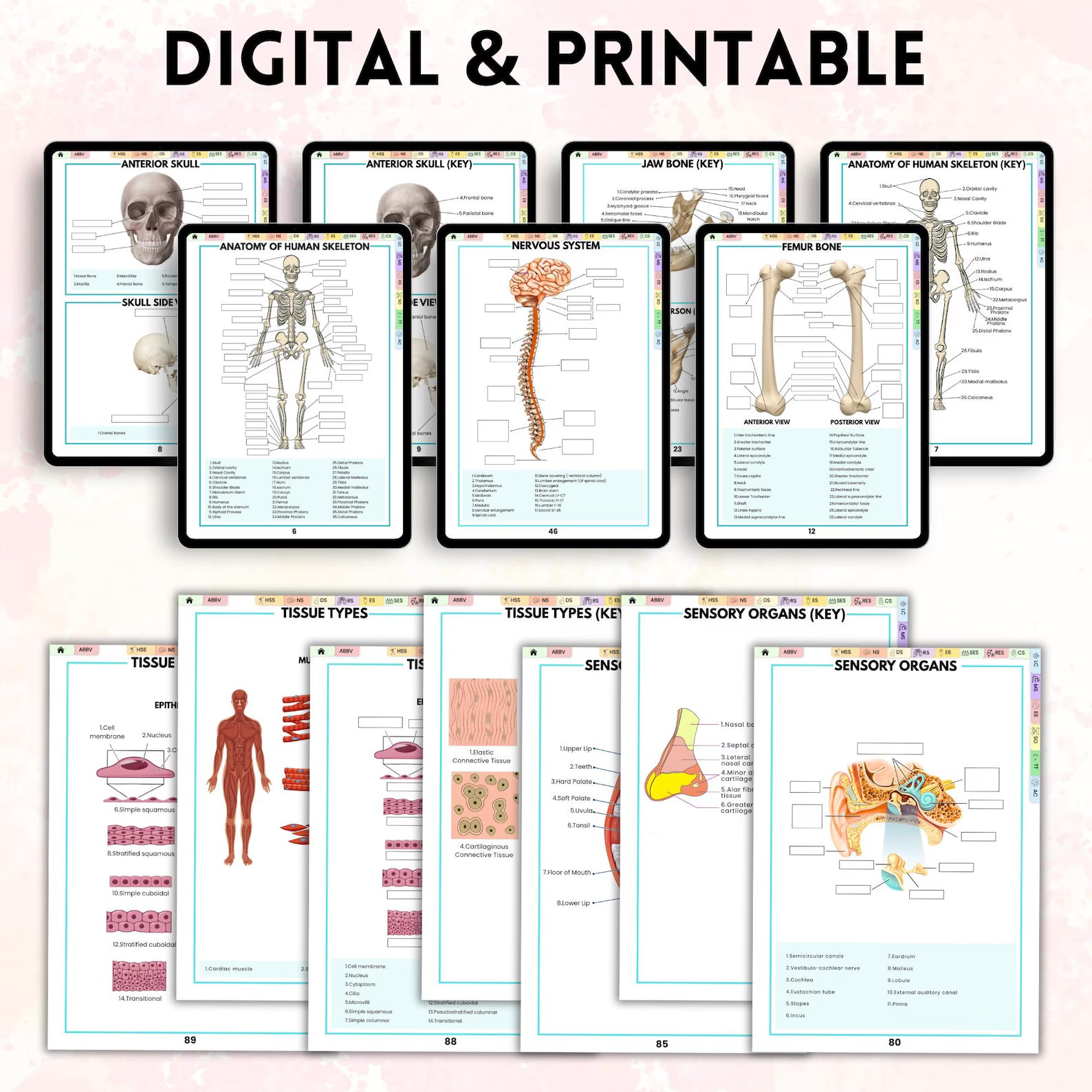 Anatomy Labeling Workbook | Human Body Systems Printable | Nursing School Study Guide PDF | Bonus Anatomy Mnemonics Sheet Included