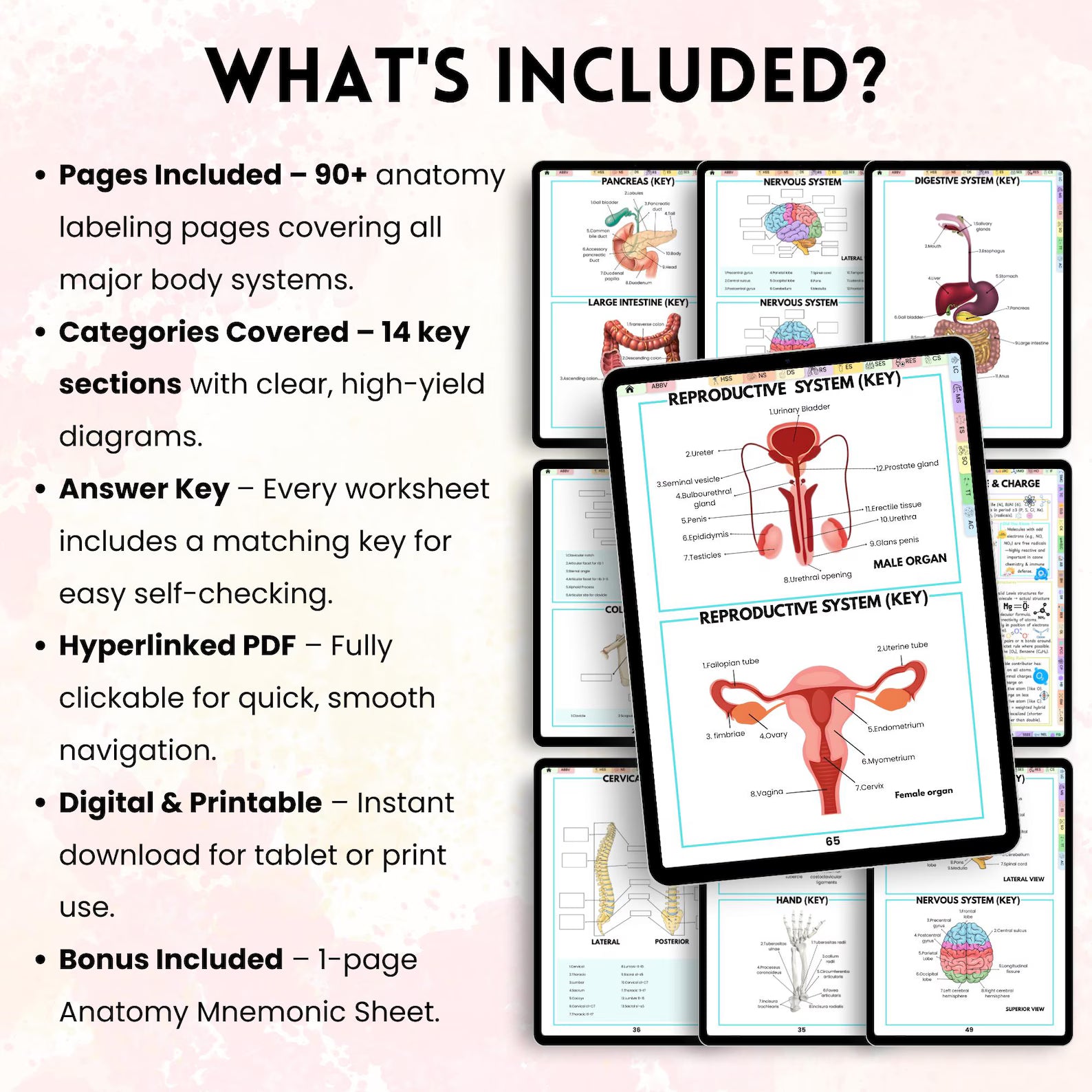 Anatomy Labeling Workbook | Human Body Systems Printable | Nursing School Study Guide PDF | Bonus Anatomy Mnemonics Sheet Included