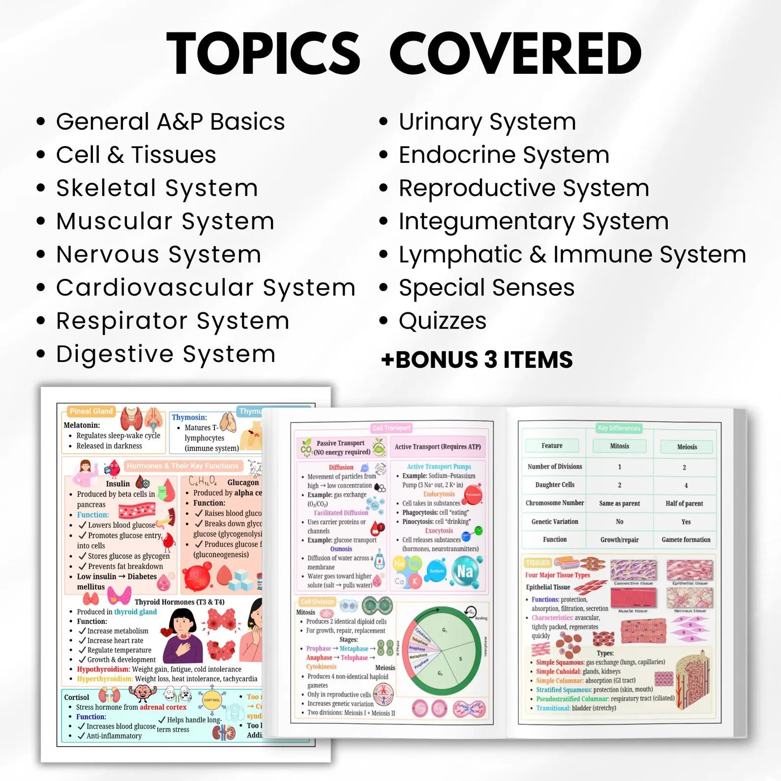 Anatomy & Physiology Cheat Sheet | Anatomy and Physiology Study Guide | Nursing School Notes | Anatomy Revision | Instant Download PDF