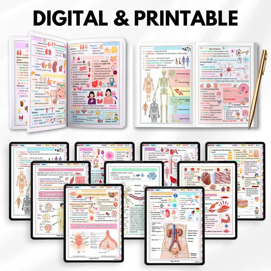 Anatomy & Physiology Cheat Sheet | Anatomy and Physiology Study Guide | Nursing School Notes | Anatomy Revision | Instant Download PDF