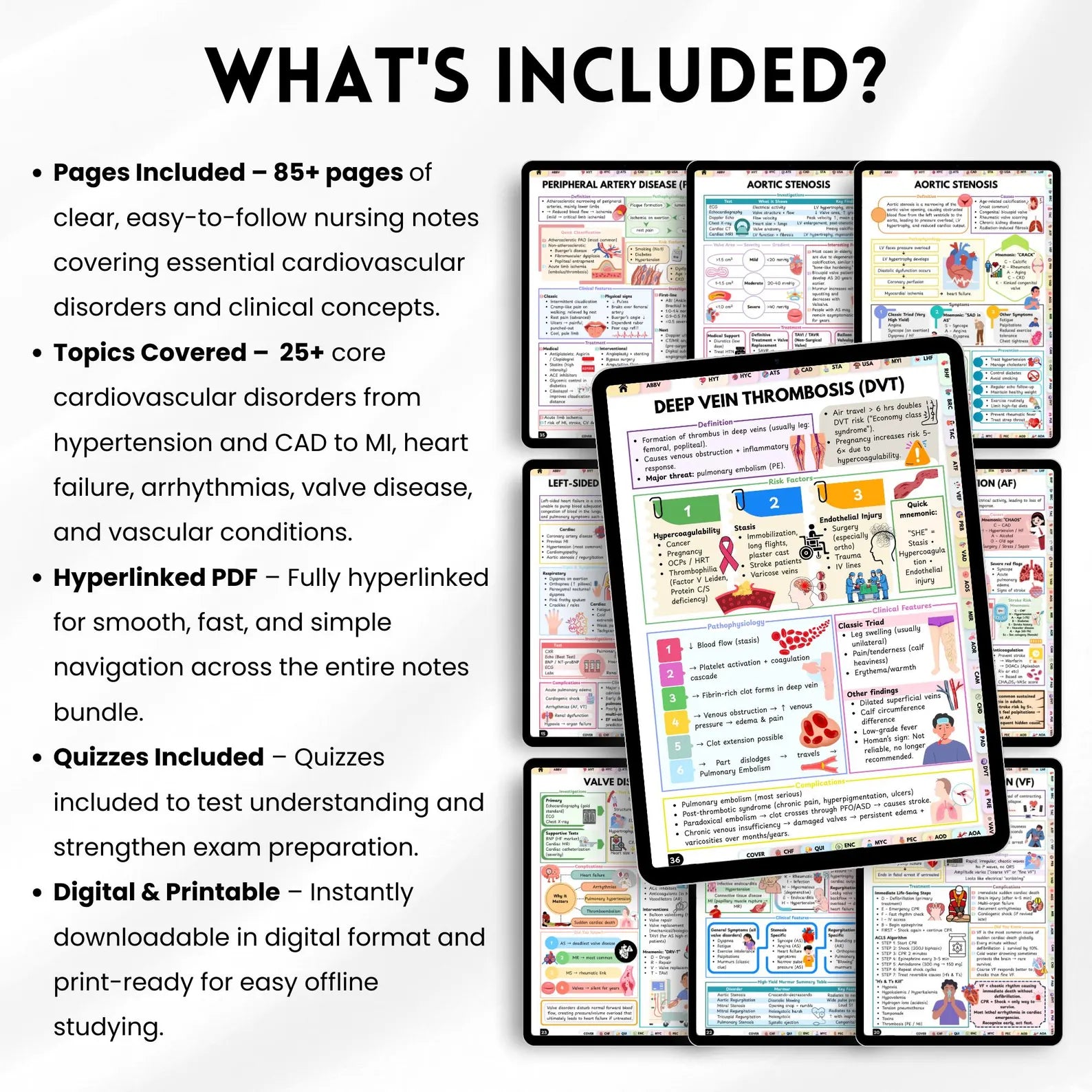 Cardiovascular Study Guide | Cardiac Nursing Notes | Heart Disease Review | Nursing Student Resource | 85+ Page Digital Download