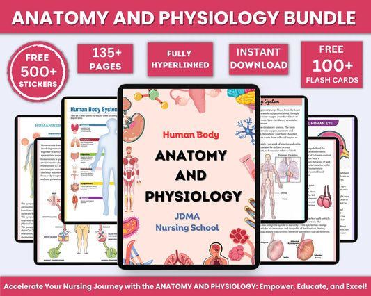 Anatomy & Physiology Study Guide – Notes Bundle with Flashcards & Stickers