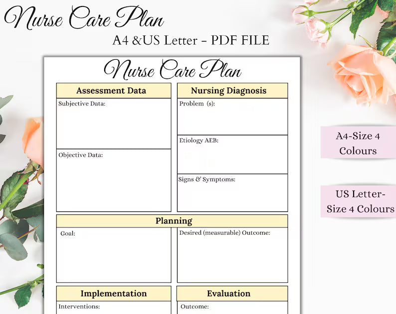 Nurse Care Plan | Nursing Notes | Printable Sheet | Care Plan Template | Digital Download
