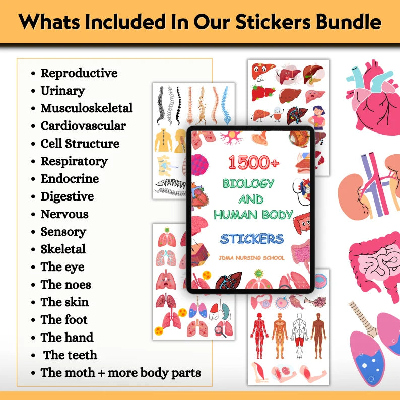 Human Biology Digital Stickers 1100+ | Biology Sticker | Colourful stickers | Nurse Stickers | PNG Files | Digital Download
