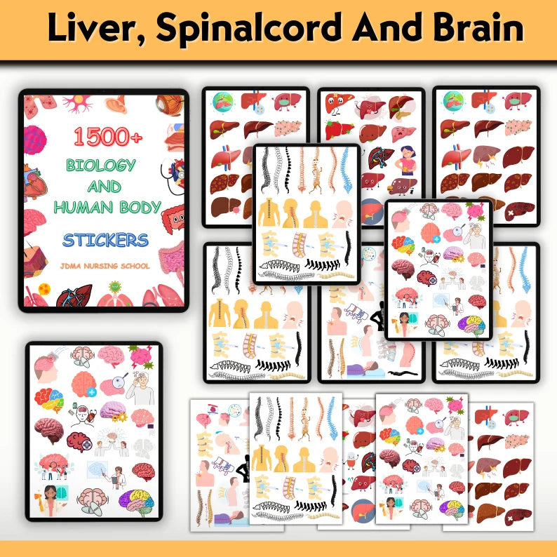 Human Biology Digital Stickers 1100+ | Biology Sticker | Colourful stickers | Nurse Stickers | PNG Files | Digital Download