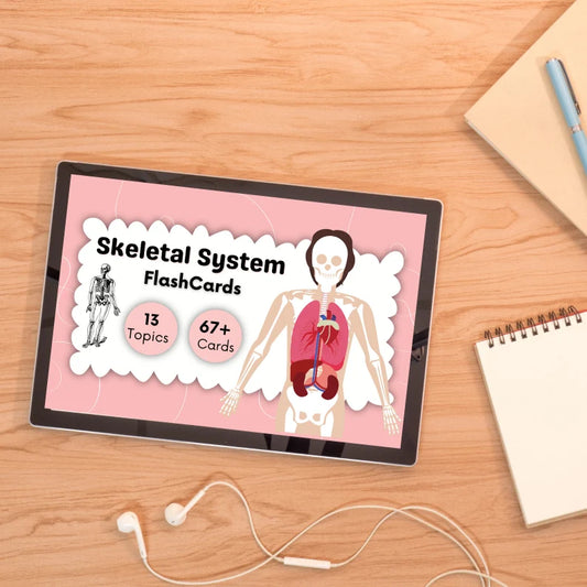 Skeletal Flashcards | Skeletal System Flashcards | Study Guide | Printable Cards | Skeletal Notes | Instant Download PDF