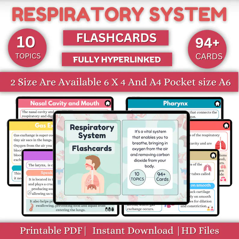Respiratory System Flashcards | Med Surg Nursing Study | Study Notes | Intant Download | PDF File | Nursing Study Guide