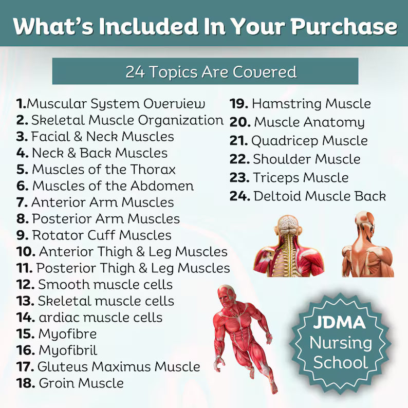 Muscular System Flashcard Fully Hyperlinked | Nursing Bundle | Medical Note | Muscle Anatomy Note | Study Note | Digital Download | 24 Topic