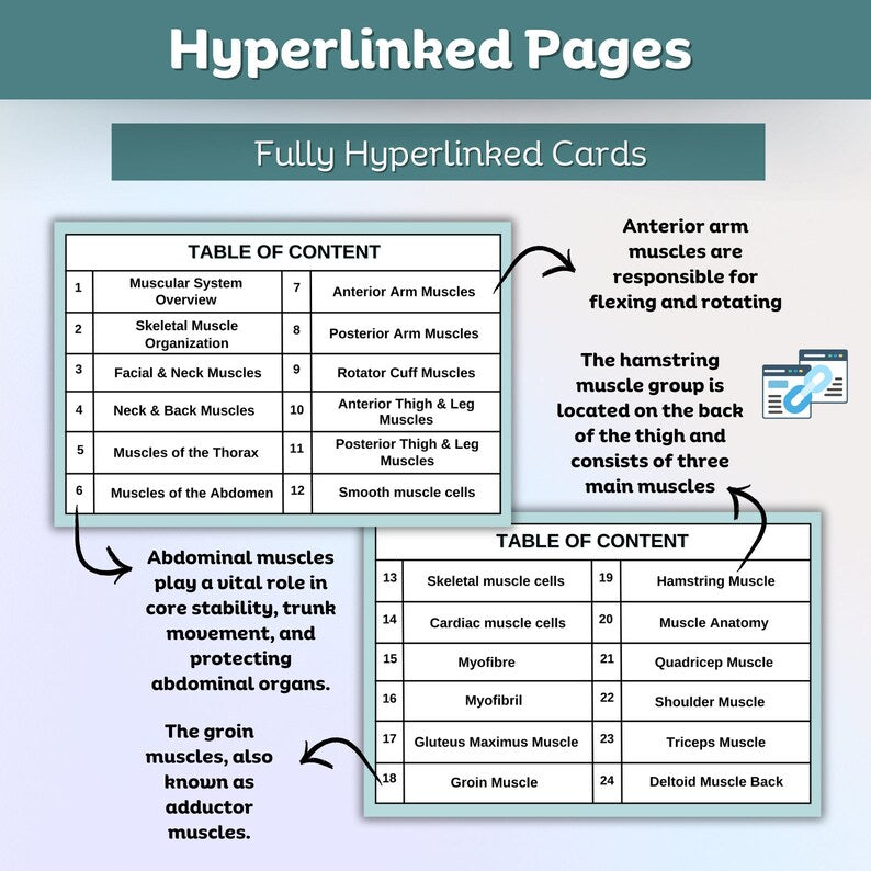Muscular System Flashcard Fully Hyperlinked | Nursing Bundle | Medical Note | Muscle Anatomy Note | Study Note | Digital Download | 24 Topic