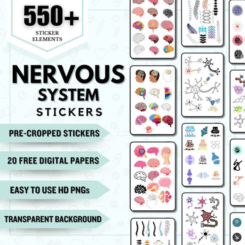 The Nervous System Stickers | Nursing Study Guide | GoodNotes Stickers | Medical Sticker | Neurology | Digital Download