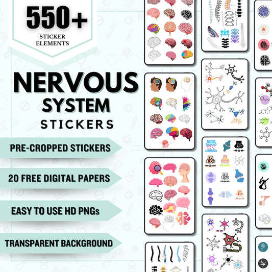 The Nervous System Stickers – Nursing Study Guide (Digital Stickers)