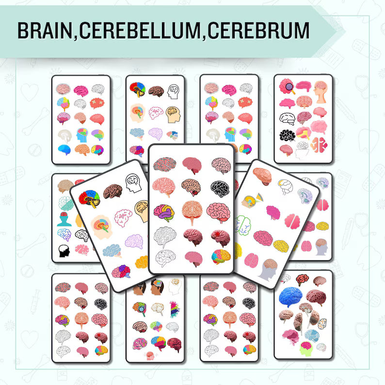 The Nervous System Stickers | Nursing Study Guide | GoodNotes Stickers | Medical Sticker | Neurology | Digital Download