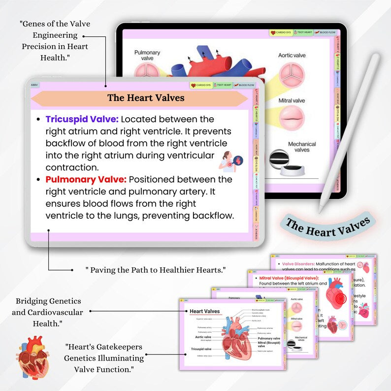Cardiovascular System Flashcards Hyperlinked PDF | Nursing School | Cardiac Nurse Notes | Nursing Study Notes | 83 Pages | PDF Download