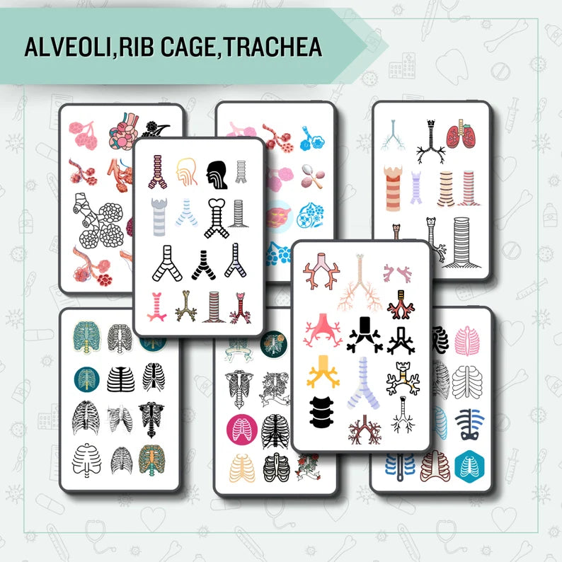 Respiratory System Sticker Bundle Pre-Cropped | Sticker Bundle 700 | Nursing Study | Human Body Stickers | Note Taking | Goodnotes Stickers