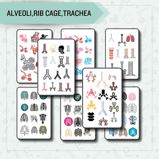 Respiratory System Sticker Bundle Pre-Cropped | Sticker Bundle 700 | Nursing Study | Human Body Stickers | Note Taking | Goodnotes Stickers