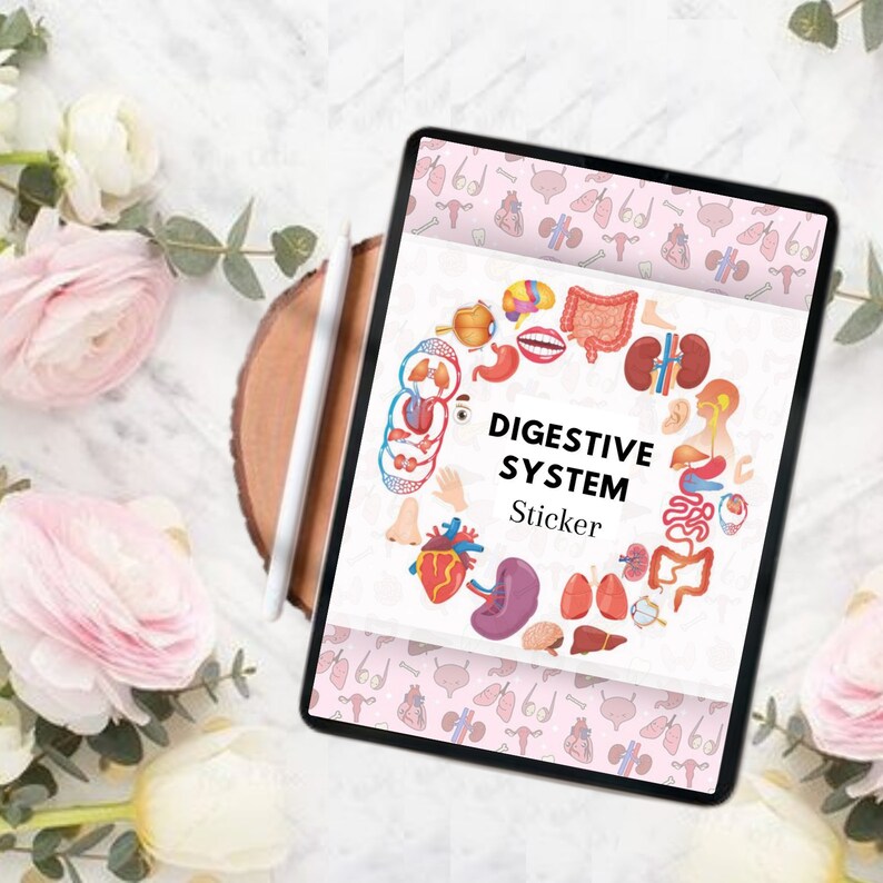 Digestive System Sticker | Human Body Stickers | Nursing Stickers | Goodnotes stickers | Instant Download | PNG Files | Note Taking