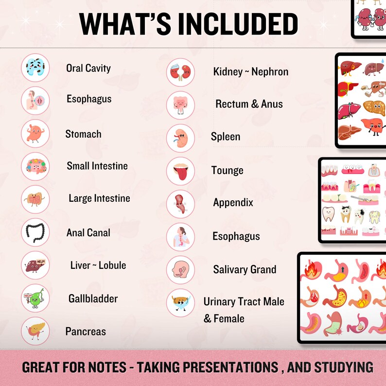 Medical Tracking Stickers 300+transparent back Ground | Pre-cropped | Healthcare Sticker | Human Body Sticker | 20 Free Digital Paper