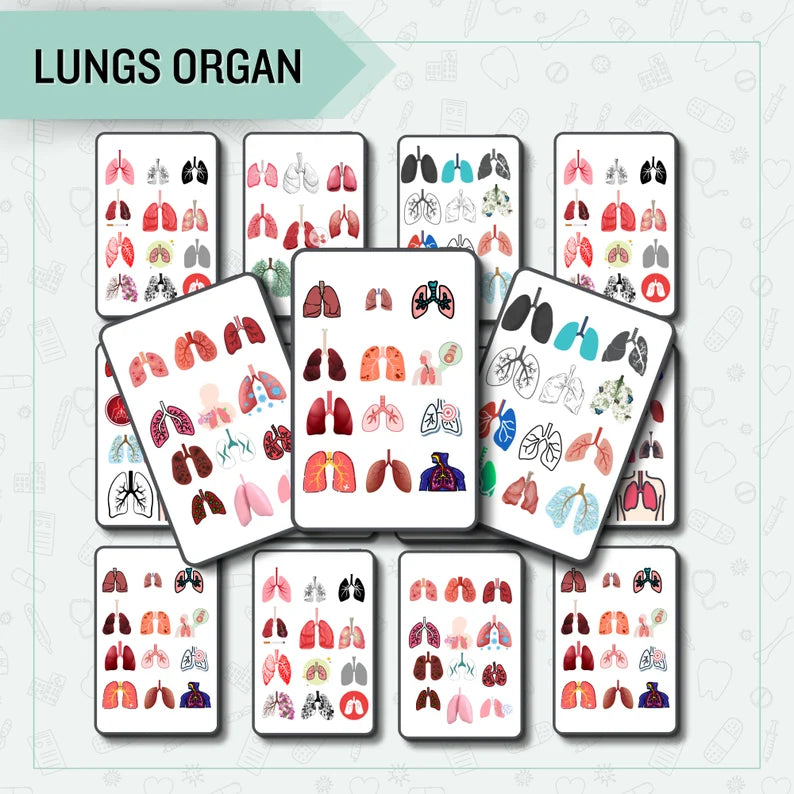 Respiratory System Sticker Bundle Pre-Cropped | Sticker Bundle 700 | Nursing Study | Human Body Stickers | Note Taking | Goodnotes Stickers