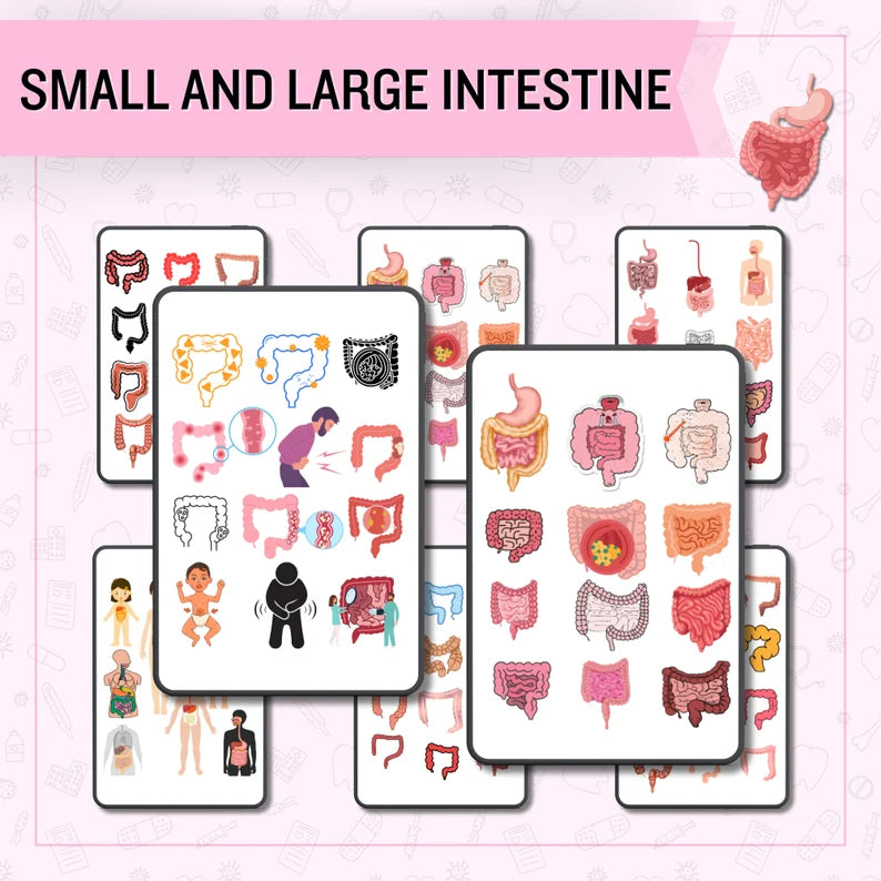 Digestive System SVG’s 1000 bundle | Human Body SVG | Nursing Stickers | SVG Bundle | Instant Download | Note Taking | Digestive svg