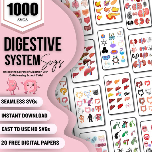 Digestive System SVG Bundle – 1000+ Nursing Graphics