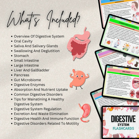 Digestive System Flashcards Bundle or Quiz with Hyperlinked | Human Body Flashcards | Nursing Study Guide | Instant Download | Note Taking