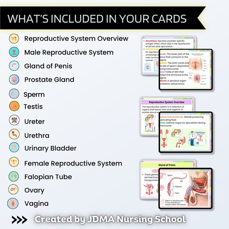 Reproductive System Flashcards Fully Hyperlinked | Human Anatomy | Free Cover Pages | Female Reproductive | Instant Download | Nursing Notes