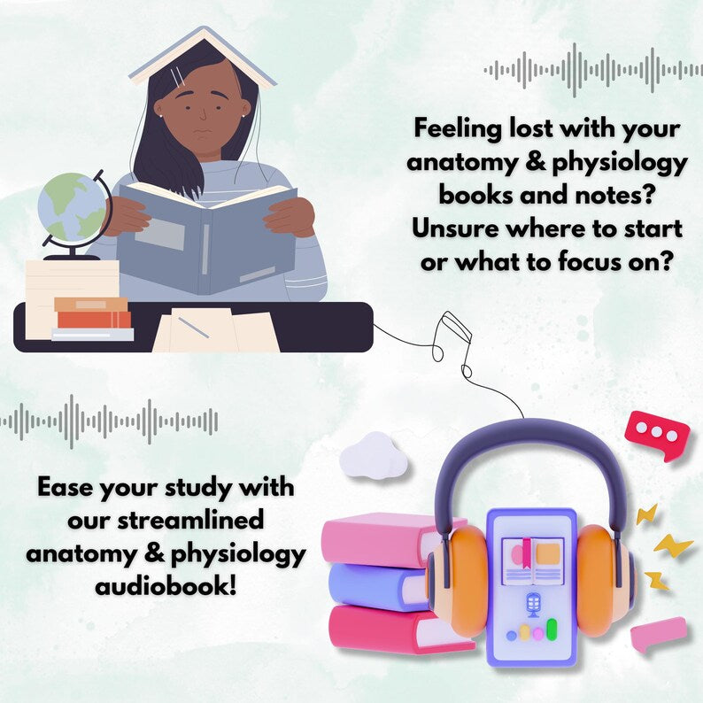 Anatomy & Physiology audiobook Bundle | Audiobook for Learning | Medical School | Anatomy Learning | NCLEX Study