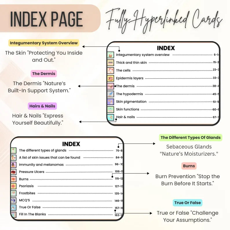 Integumentary System Flashcards Hyperlinked | Human Body Flashcard | Medical Exam Prep | Integumentary System Study Aid | Instant Download