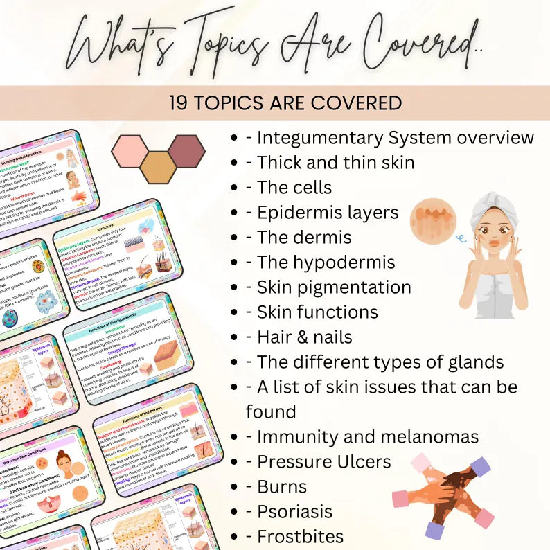 Integumentary System Flashcards Hyperlinked | Human Body Flashcard | Medical Exam Prep | Integumentary System Study Aid | Instant Download
