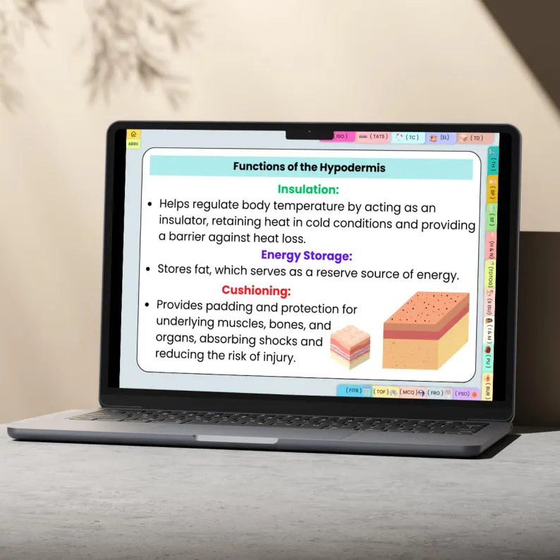 Integumentary System Flashcards Hyperlinked | Human Body Flashcard | Medical Exam Prep | Integumentary System Study Aid | Instant Download