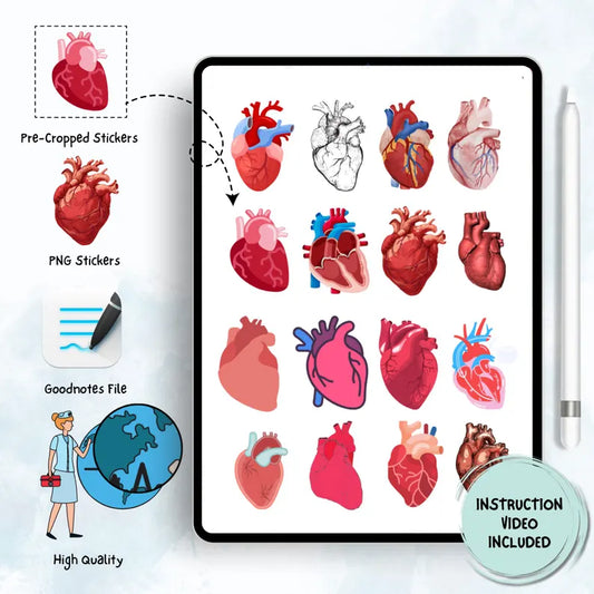 11580+ Medical Stickers Mega Bundle | Goodnotes Stickers | Nurse Stickers | Human Body Sticker | Free Digital Paper | Pre-cropped | HD PNG