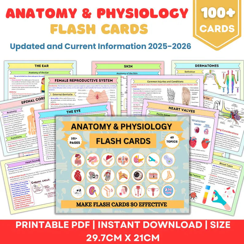 Anatomy & Physiology Flashcards | 49 Topics or 101+Pages | Nursing School Notes | Anatomy Study Guide | Instant Download PDF | Medical Note