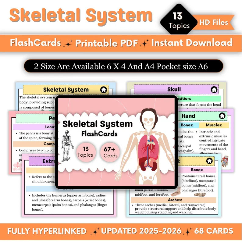 Skeletal Flashcards | Skeletal System Flashcards | Study Guide | Printable Cards | Skeletal Notes | Instant Download PDF