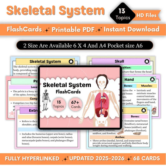 Skeletal System Flashcards – Anatomy Study Cards (Printable PDF)