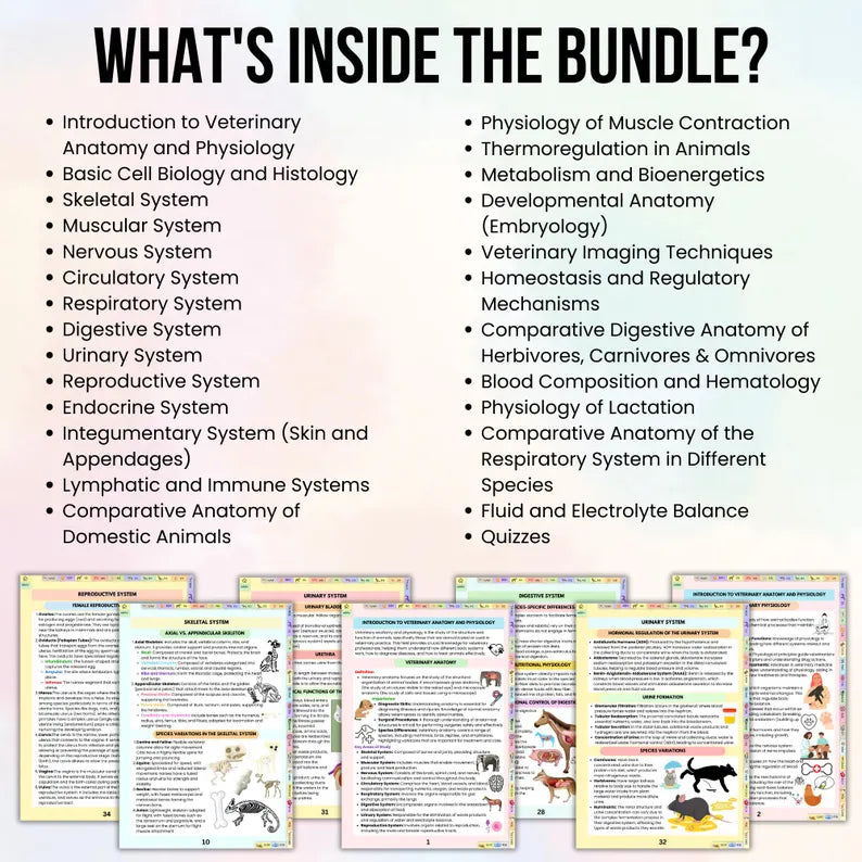 168+ Veterinary Anatomy & Physiology Bundle with Hyperlinked, Anatomy Study Guide, Vet Nursing, Medical Notes, Veterinary Technician Study