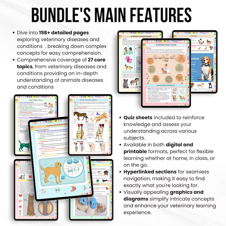 Veterinary Diseases and Conditions Bundle, Updated 2026-27, Animal Disease Study Guide, Veterinary Study, Veterinary Nurse, Vet Medical