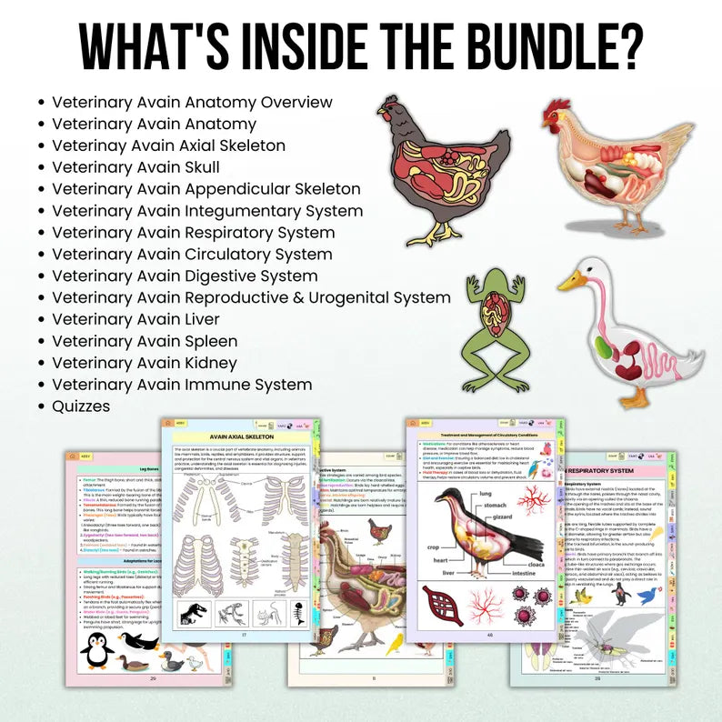 150+ Veterinary Avian Anatomy Bundle Hyperlinked, Veterinary Nurse Study Guide, Bonus Stickers Cover & Quizzes, Veterinary Medical Student